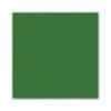 tovaglia di carta verde