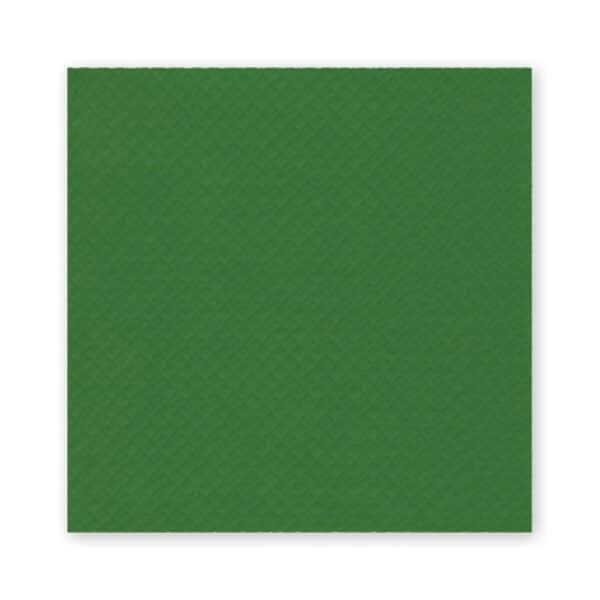 tovaglia di carta verde
