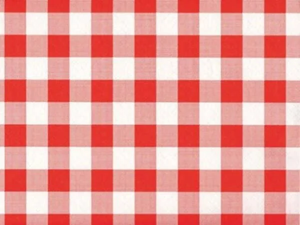 tovagliette di carta quadri scozzesi rosso